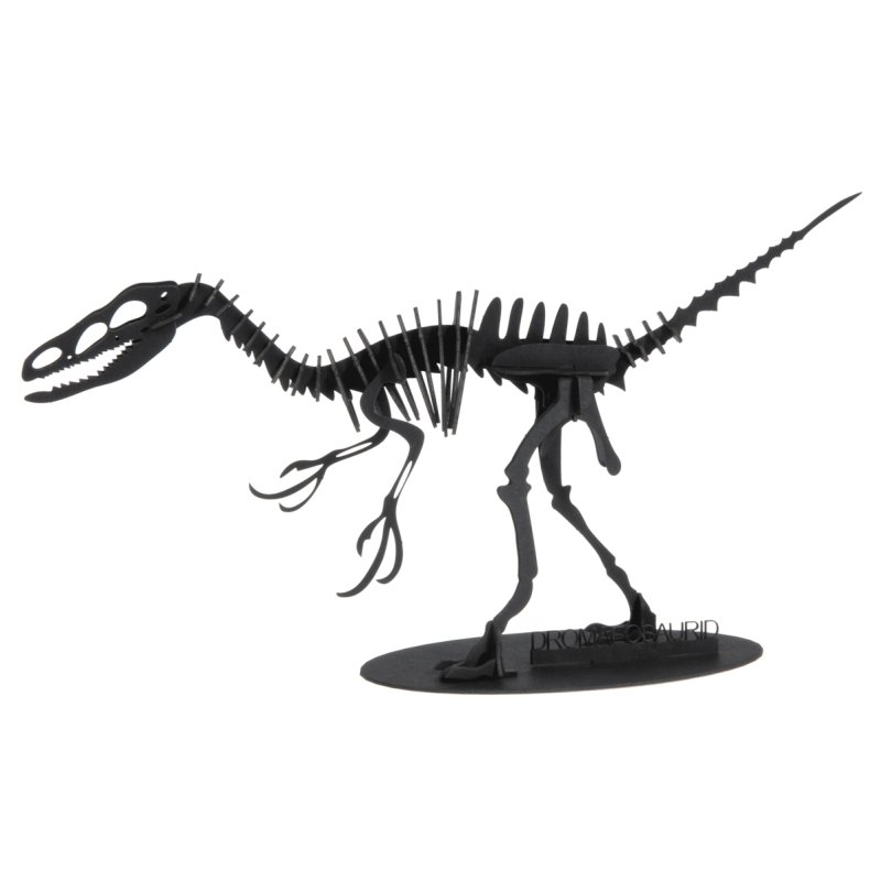 3D-papirmodel, Dromaeosaurus